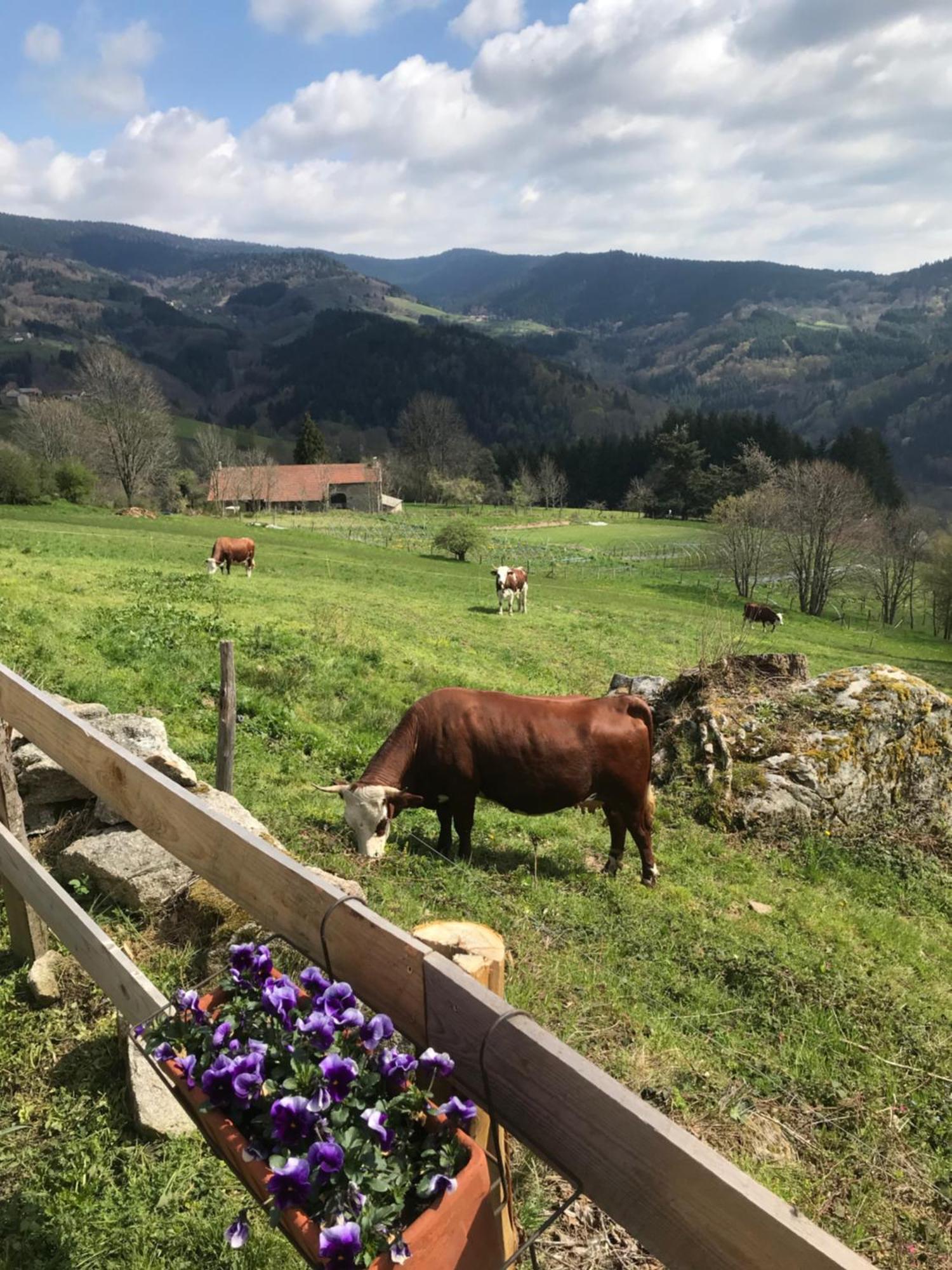 La Source D'En Haut Valcivieres Exteriör bild