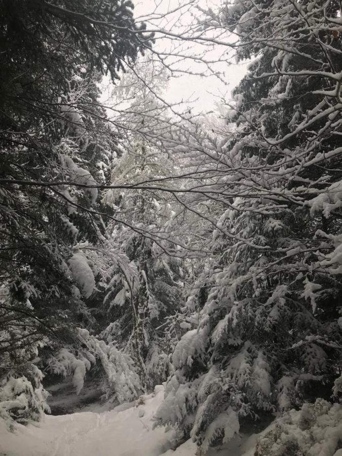 La Source D'En Haut Valcivieres Exteriör bild